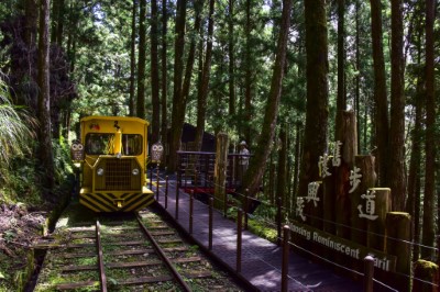 太平山增加平日客運專車